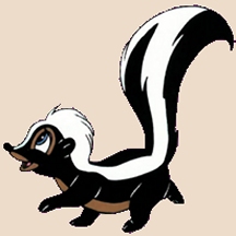 Friendly skunk